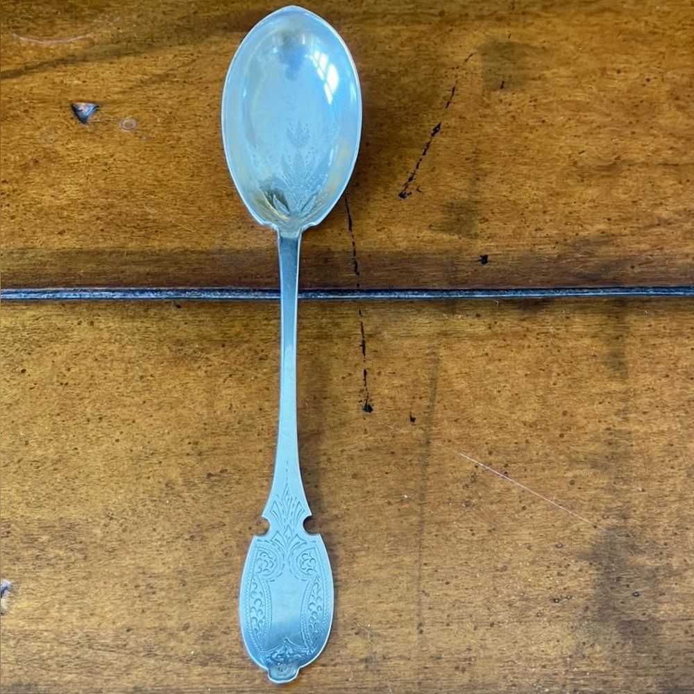 Coin Silver Spoon